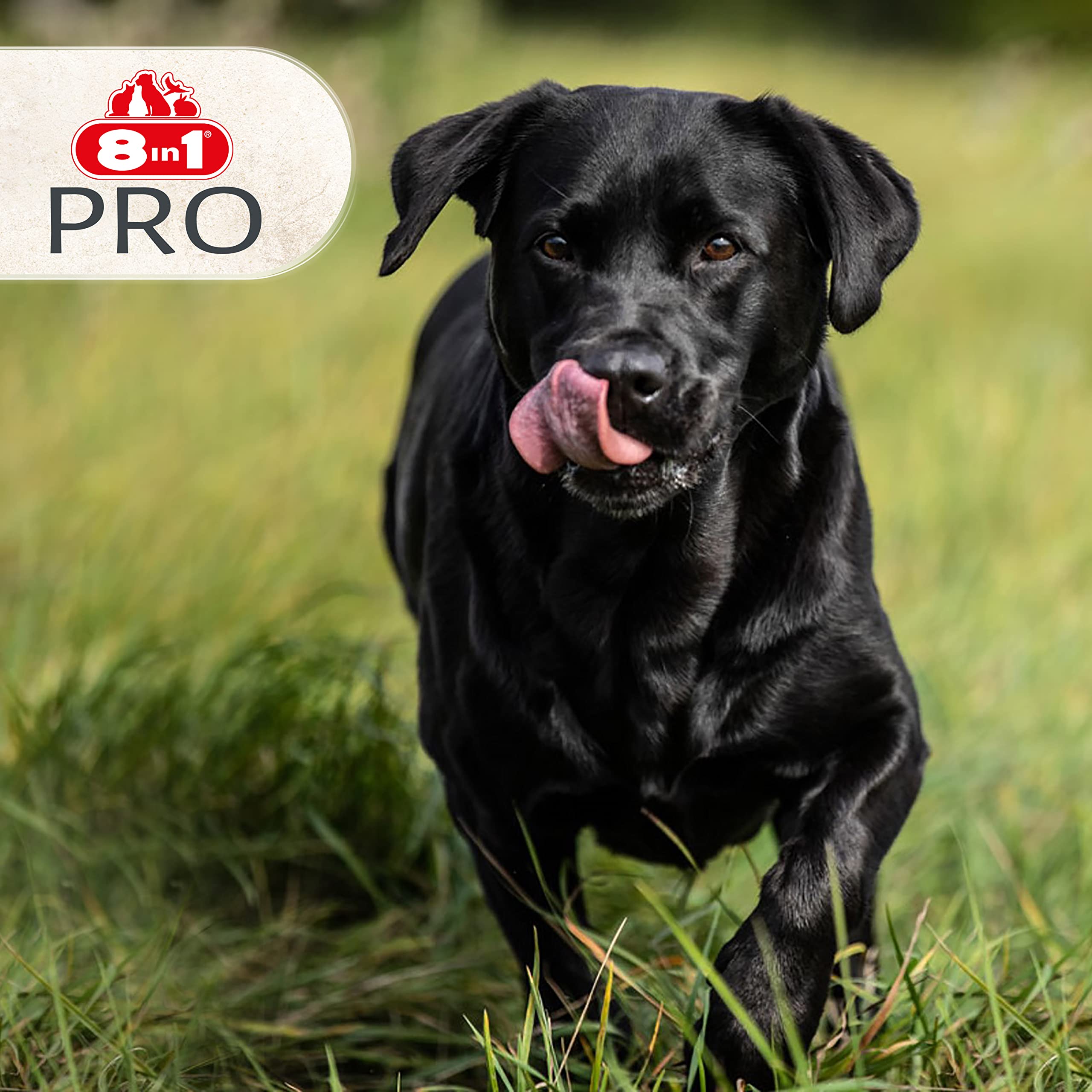 8in1-pro-dental-os-m-cher-chien-grande-taille-l-85g image 8