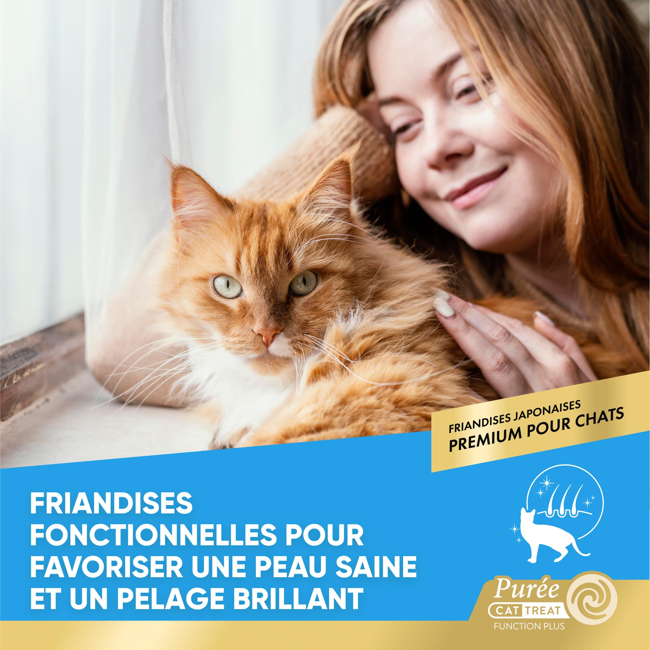 inaba-churu-skin-coat-cr-me-chat-thon-20-x-14-g-pelage image 2