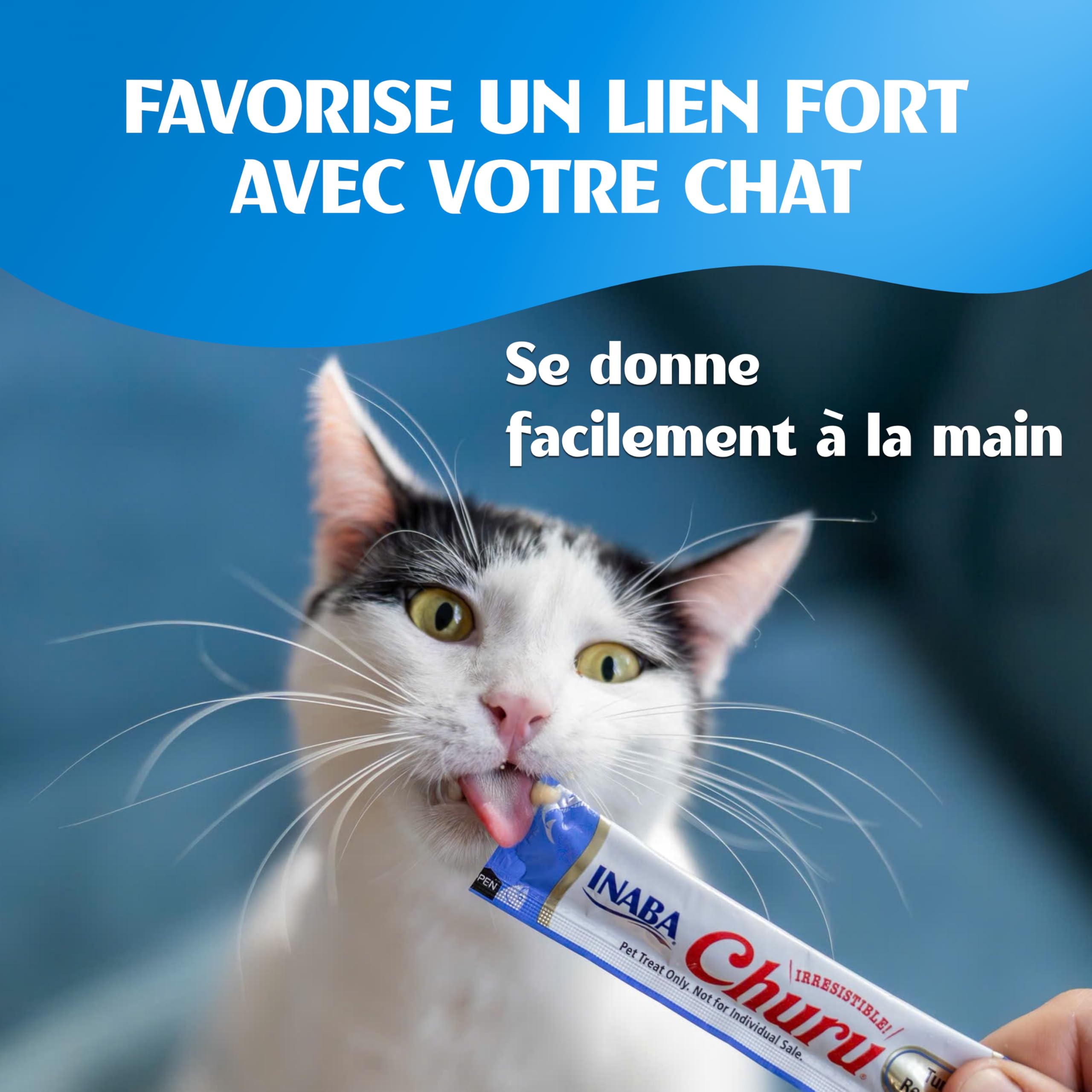 inaba-churu-friandise-chat-mer-thon-20-x-14-g image 4