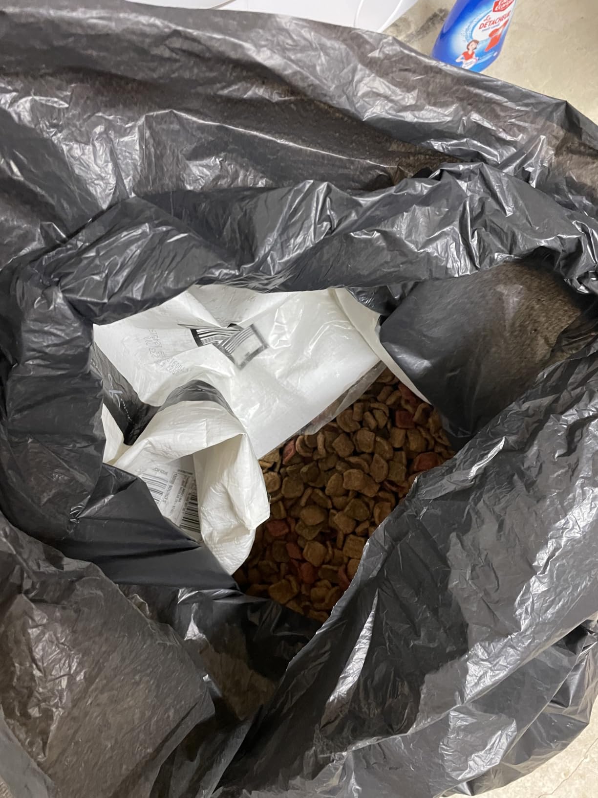 Appétit moyen