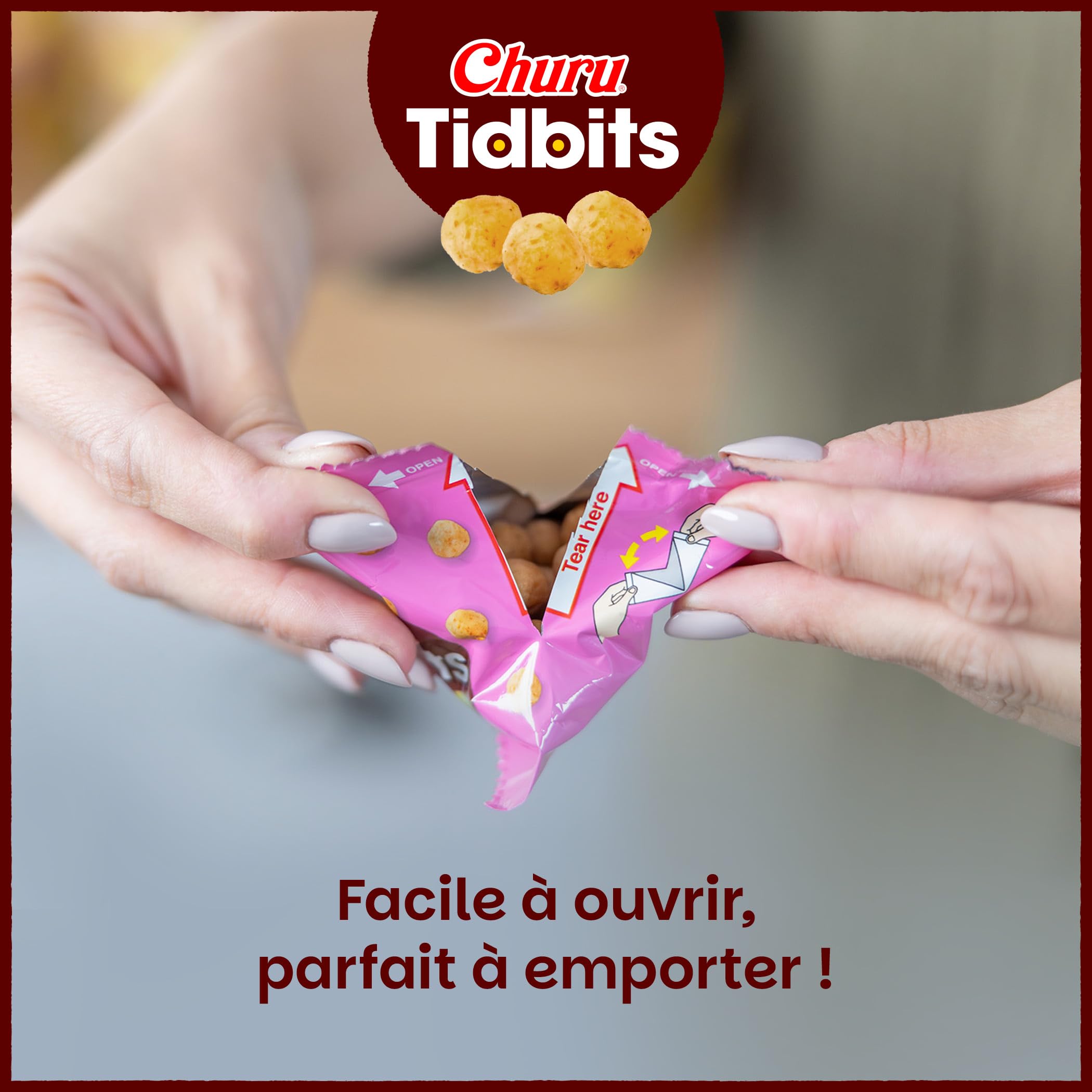inaba-churu-tidbits-bouch-e-chat-poulet-dashi-36g-riche-en-eau image 4