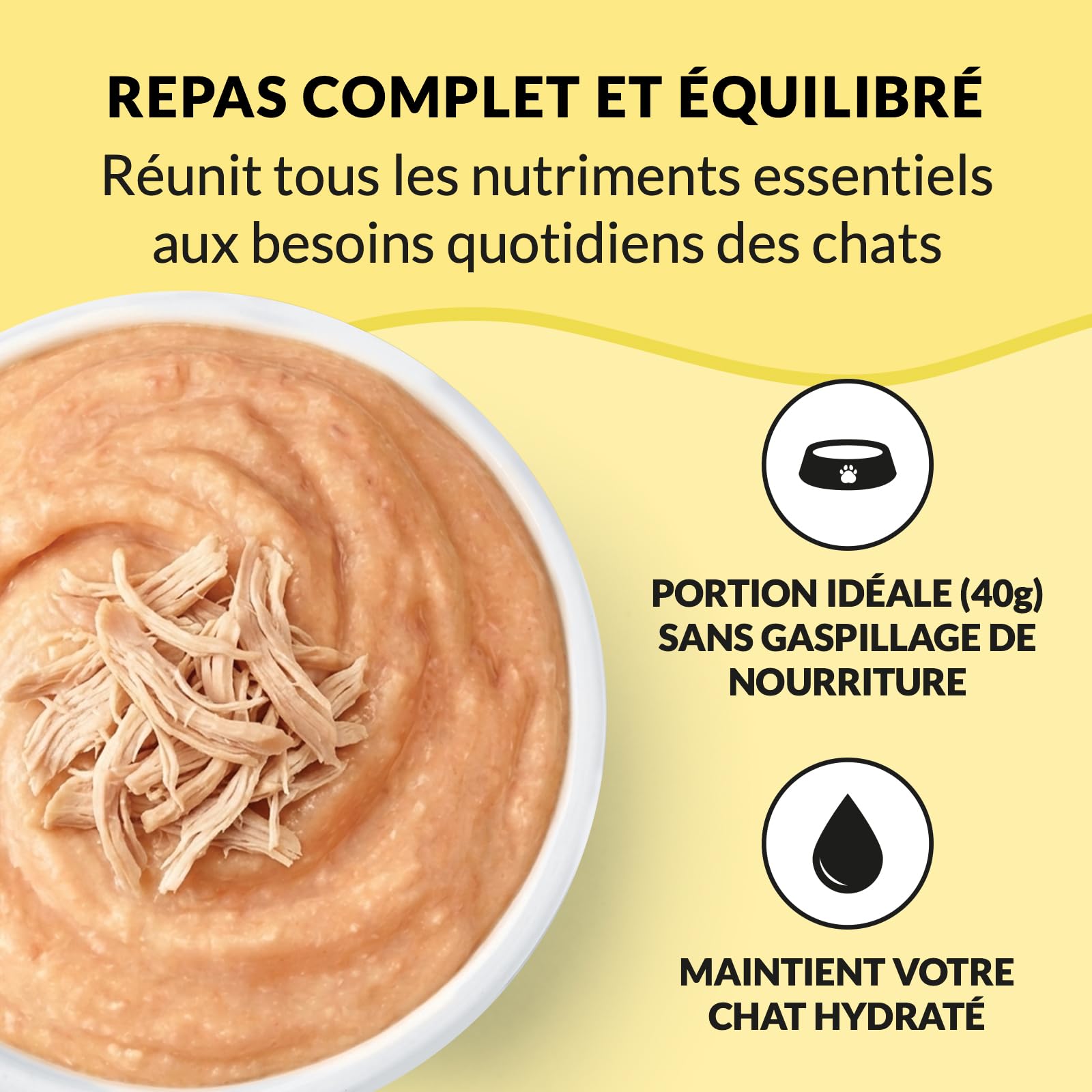 inaba-ciao-entr-e-stew-repas-chat-poulet-saumon-12x40g image 6