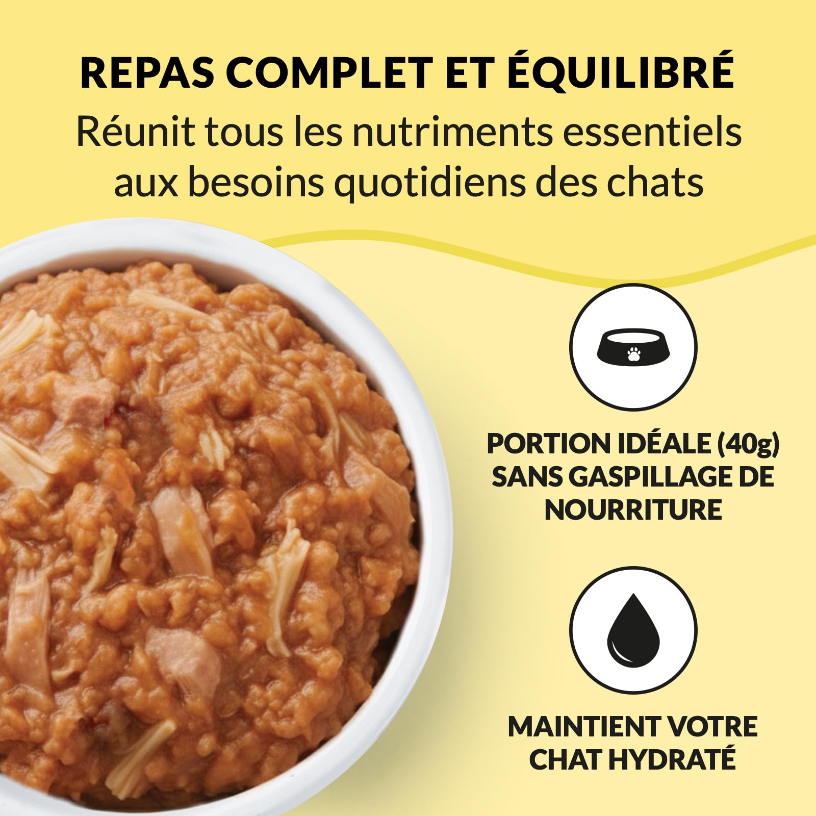 inaba-ciao-entr-e-p-t-chat-poulet-12x40g image 6