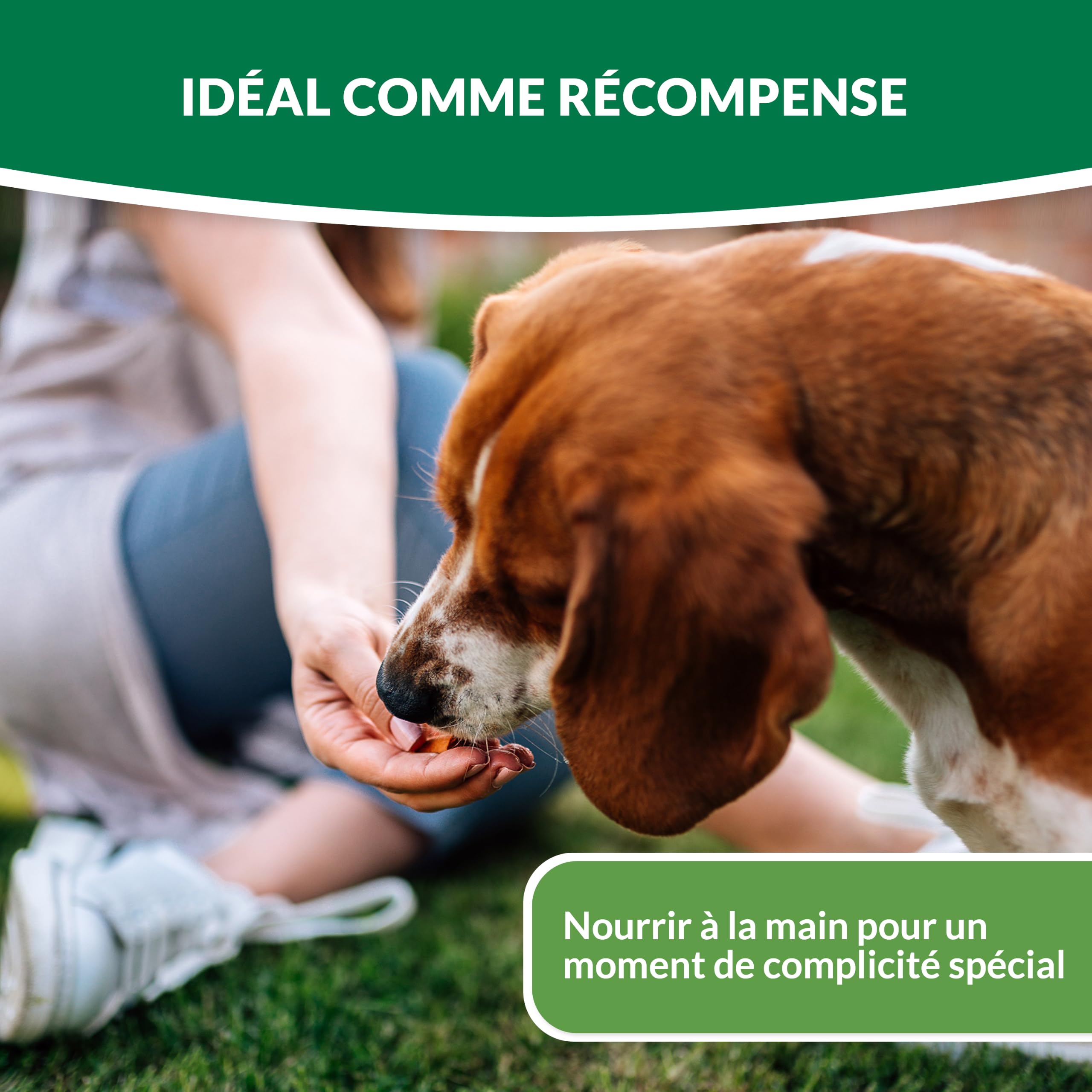 inaba-churu-dog-bites-friandise-chien-poulet-192-g-tendre image 4