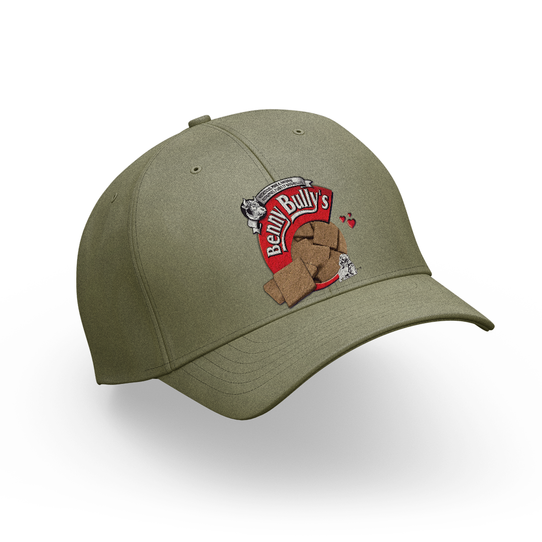 benny-bully-s-casquette-verte-brod-e-accessoire-chien image 1