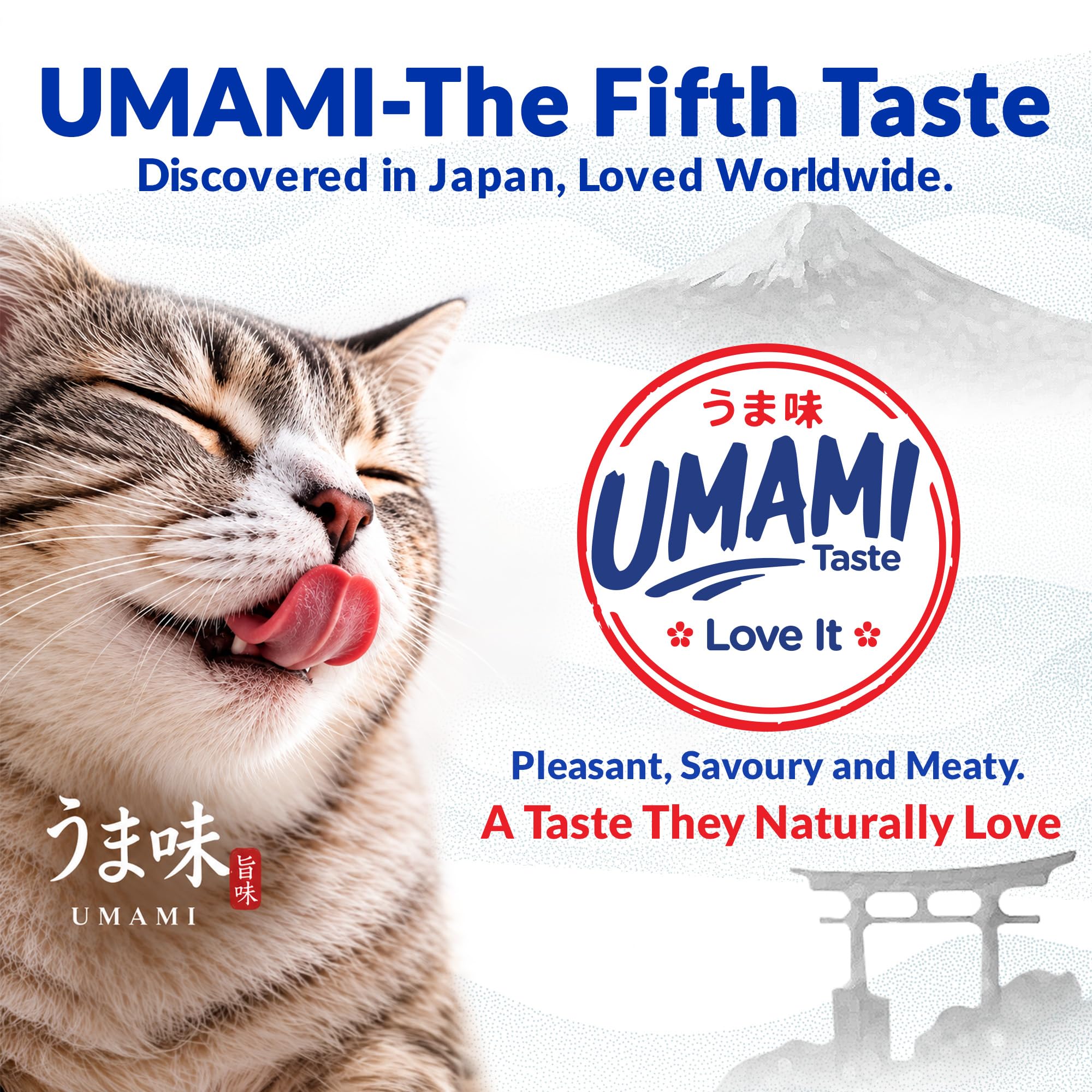 inaba-churu-cat-friandise-liquide-poulet-p-toncle-50-g image 4